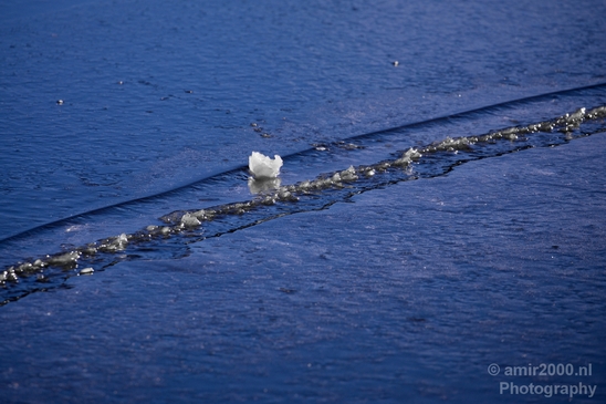 Snow_winter_scenery_north_holland_landscape_nederland_Photography_152_Canon_EOS_5D_Mark_IV.JPG