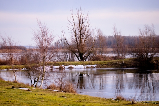 Snow_winter_scenery_north_holland_landscape_nederland_Photography_168_Canon_EOS_5D_Mark_IV.JPG