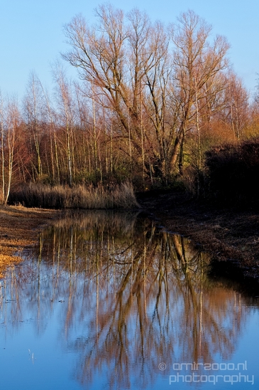 Spaarnwoude_North_Holland_landscape_Nederland_Winter_scenery_Photography_001_Canon_EOS_5D_Mark_IV.JPG