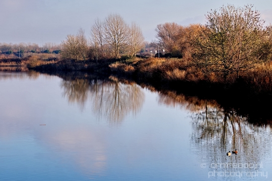 Spaarnwoude_North_Holland_landscape_Nederland_Winter_scenery_Photography_005_Canon_EOS_5D_Mark_IV.JPG
