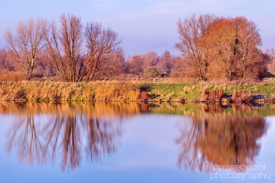 Spaarnwoude_North_Holland_landscape_Nederland_Winter_scenery_Photography_024_Canon_EOS_5D_Mark_IV.JPG
