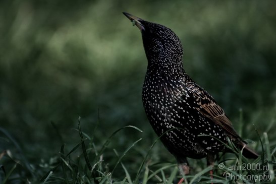 Spring_Landscape_Photography_001_Canon_EOS_400D_DIGITAL.JPG