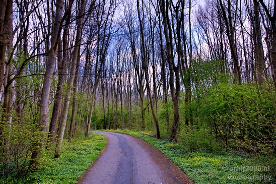 Spring_colors_nature_Landscape_Photography_017_Canon_EOS_5D_Mark_IV.JPG