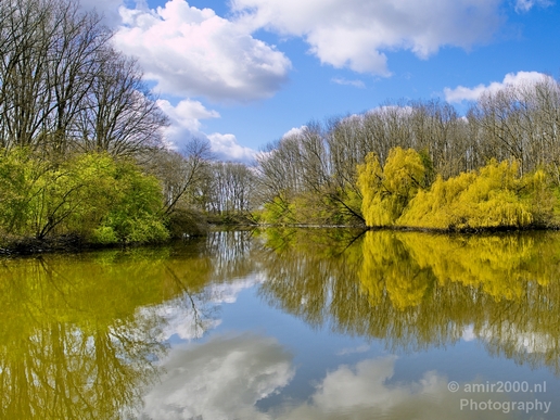 Spring_colors_nature_Landscape_Photography_020_Canon_EOS_5D_Mark_IV.JPG