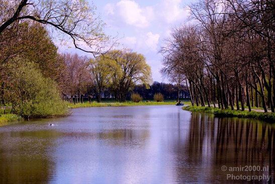 Spring_colors_nature_Landscape_Photography_051_Canon_EOS_5D_Mark_IV.JPG