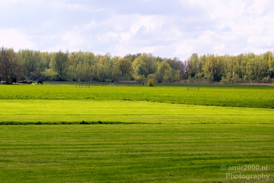 Spring_colors_nature_Landscape_Photography_052_Canon_EOS_5D_Mark_IV.JPG
