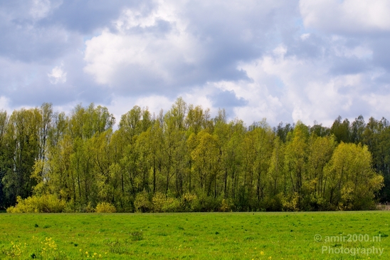 Spring_colors_nature_Landscape_Photography_054_Canon_EOS_5D_Mark_IV.JPG