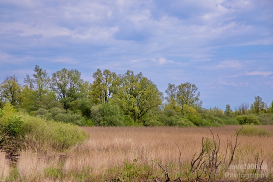 Spring_colors_nature_Landscape_Photography_062_Canon_EOS_5D_Mark_IV.JPG