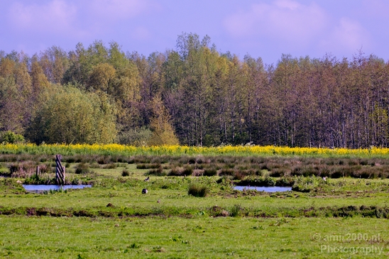 Spring_colors_nature_Landscape_Photography_065_Canon_EOS_5D_Mark_IV.JPG