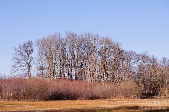 Spring_is_here_nature_landscape_amstelveen_amsterdam_Netherlands_Photography_006_Canon_EOS_5D_Mark_IV.JPG