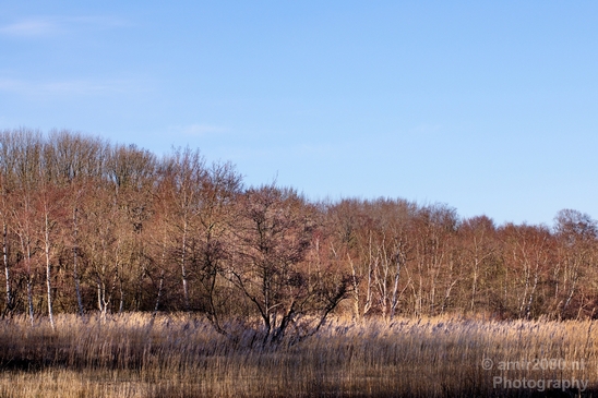 Spring_is_here_nature_landscape_amstelveen_amsterdam_Netherlands_Photography_009_Canon_EOS_5D_Mark_IV.JPG