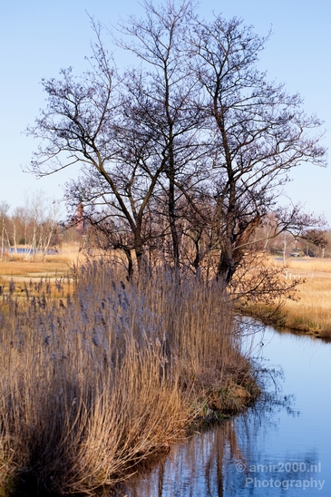 Spring_is_here_nature_landscape_amstelveen_amsterdam_Netherlands_Photography_010_Canon_EOS_5D_Mark_IV.JPG