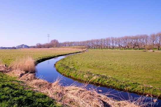 Spring_is_here_nature_landscape_amstelveen_amsterdam_Netherlands_Photography_018_Canon_EOS_5D_Mark_IV.JPG