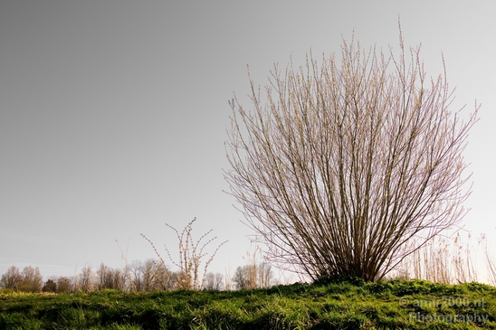 Spring_is_here_nature_landscape_amstelveen_amsterdam_Netherlands_Photography_019_Canon_EOS_5D_Mark_IV.JPG