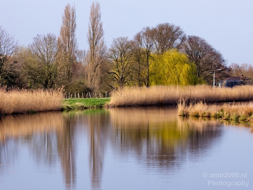 Spring_is_here_nature_landscape_amstelveen_amsterdam_Netherlands_Photography_021_Canon_EOS_5D_Mark_IV.JPG