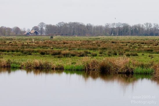 Spring_is_here_nature_landscape_amstelveen_amsterdam_Netherlands_Photography_022_Canon_EOS_5D_Mark_IV.JPG