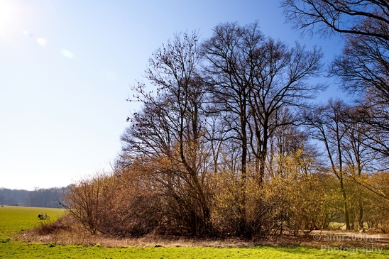 Spring_is_in_the_air_nature_landscape_amstelveen_amsterdam_Netherlands_Photography_005_Canon_EOS_5D_Mark_IV.JPG