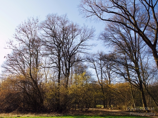 Spring_is_in_the_air_nature_landscape_amstelveen_amsterdam_Netherlands_Photography_006_Canon_EOS_5D_Mark_IV.JPG
