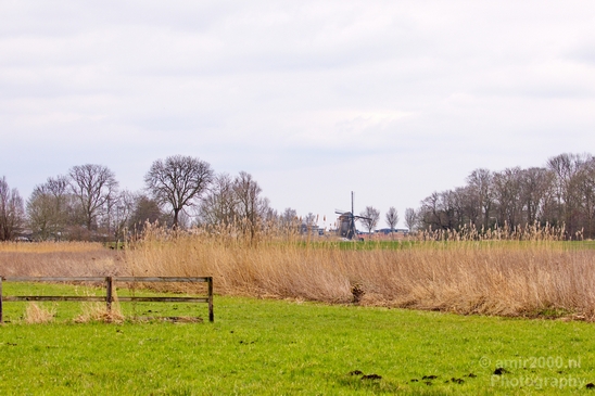 Spring_is_in_the_air_nature_landscape_amstelveen_amsterdam_Netherlands_Photography_012_Canon_EOS_5D_Mark_IV.JPG