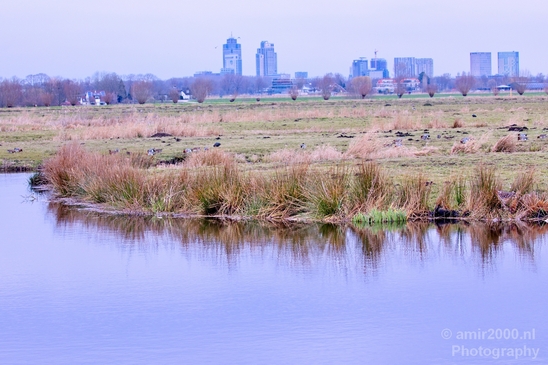 Spring_is_in_the_air_nature_landscape_amstelveen_amsterdam_Netherlands_Photography_013_Canon_EOS_5D_Mark_IV.JPG