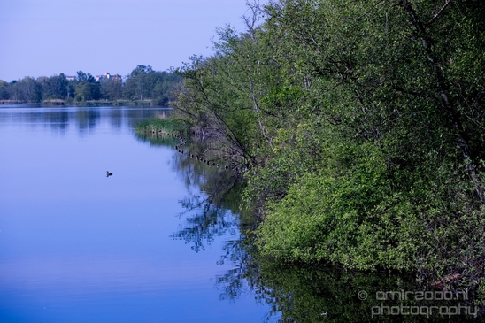 Spring_is_in_the_air_nature_landscape_amstelveen_amsterdam_Netherlands_Photography_015_Canon_EOS_5D_Mark_IV.JPG