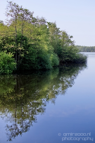 Spring_is_in_the_air_nature_landscape_amstelveen_amsterdam_Netherlands_Photography_017_Canon_EOS_5D_Mark_IV.JPG
