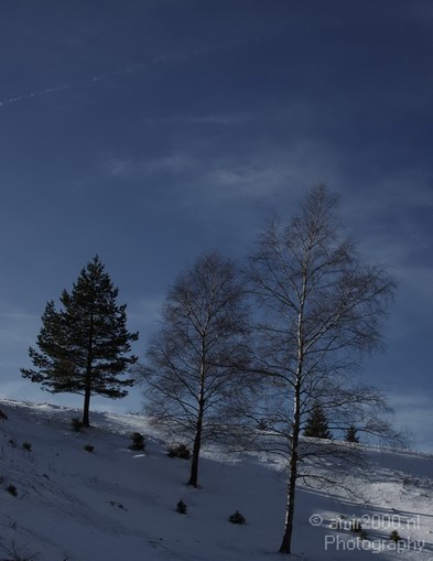 Stollenbacher_Feldberg_Nature_Landscape_Photography_010_Canon_EOS_50D.JPG
