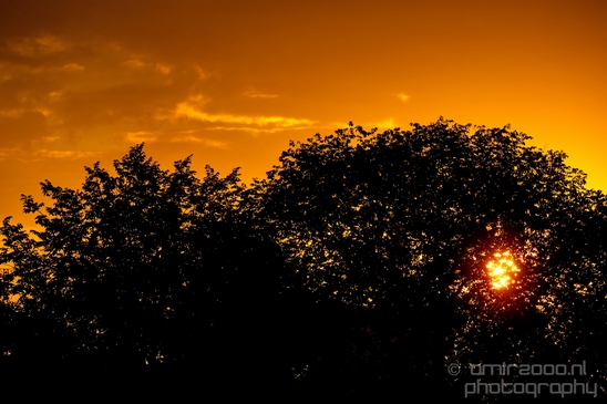 Sunrise_over_Amsterdam_nature_Netherlands_Landscape_Photography_005_Canon_EOS_5D_Mark_IV.JPG
