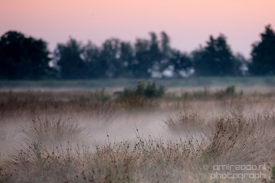 Sunrise_over_Dutch_landscape_nederlandse_landschap_summer_Photography_008_Canon_EOS_5D_Mark_IV.JPG