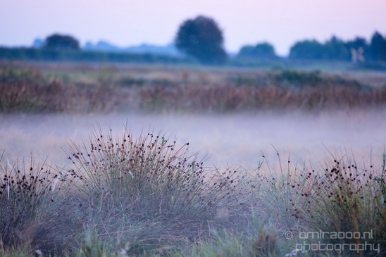 Sunrise_over_Dutch_landscape_nederlandse_landschap_summer_Photography_009_Canon_EOS_5D_Mark_IV.JPG