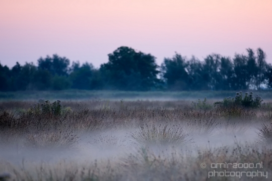 Sunrise_over_Dutch_landscape_nederlandse_landschap_summer_Photography_010_Canon_EOS_5D_Mark_IV.JPG