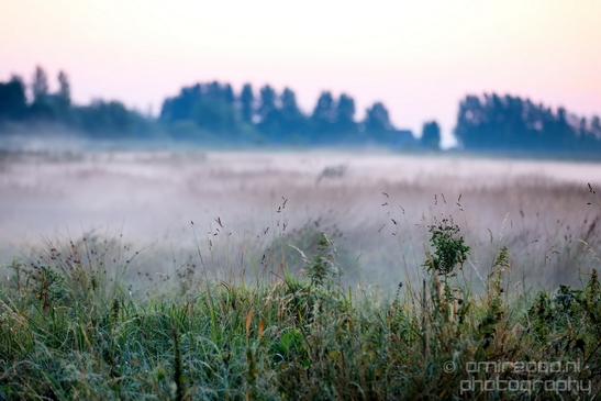 Sunrise_over_Dutch_landscape_nederlandse_landschap_summer_Photography_012_Canon_EOS_5D_Mark_IV.JPG