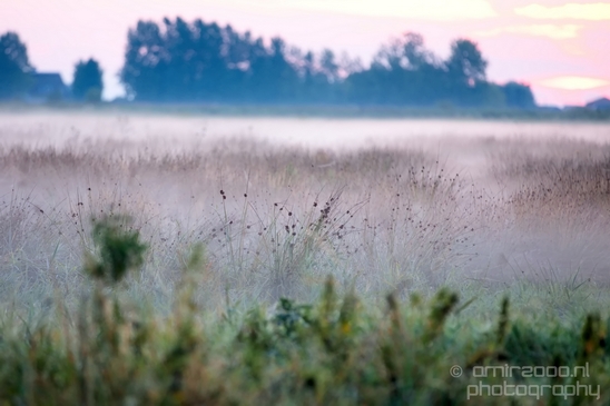 Sunrise_over_Dutch_landscape_nederlandse_landschap_summer_Photography_013_Canon_EOS_5D_Mark_IV.JPG