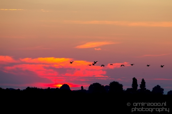 Sunrise_over_Dutch_landscape_nederlandse_landschap_summer_Photography_015_Canon_EOS_5D_Mark_IV.JPG