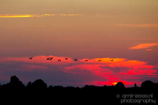 Sunrise_over_Dutch_landscape_nederlandse_landschap_summer_Photography_017_Canon_EOS_5D_Mark_IV.JPG