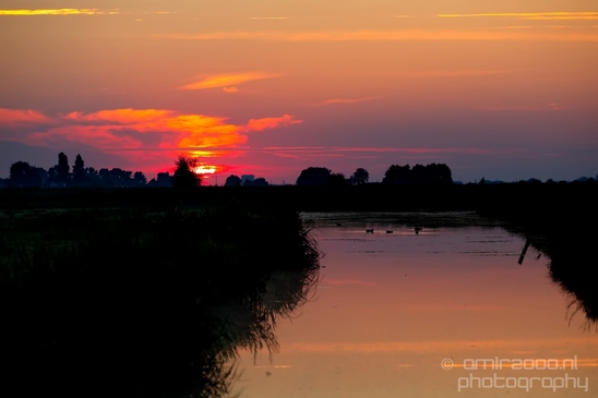 Sunrise_over_Dutch_landscape_nederlandse_landschap_summer_Photography_019_Canon_EOS_5D_Mark_IV.JPG