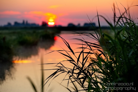 Sunrise_over_Dutch_landscape_nederlandse_landschap_summer_Photography_021_Canon_EOS_5D_Mark_IV.JPG