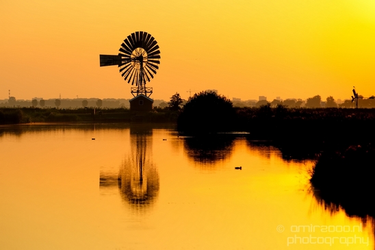 Sunrise_over_Dutch_landscape_nederlandse_landschap_summer_Photography_026_Canon_EOS_5D_Mark_IV.JPG
