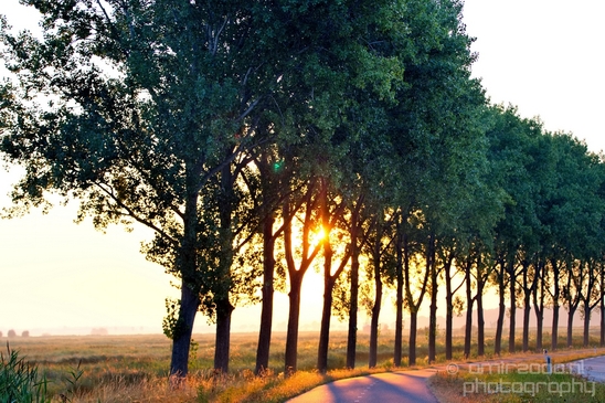 Sunrise_over_Dutch_landscape_nederlandse_landschap_summer_Photography_027_Canon_EOS_5D_Mark_IV.JPG