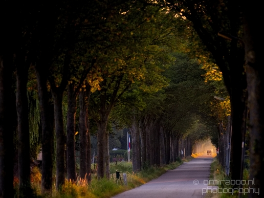 Sunrise_over_Dutch_landscape_nederlandse_landschap_summer_Photography_031_Canon_EOS_5D_Mark_IV.JPG