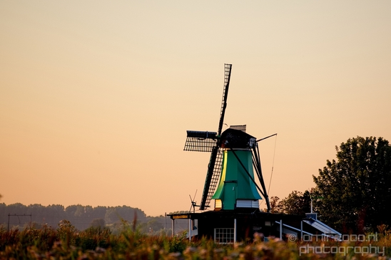 Sunrise_over_Dutch_landscape_nederlandse_landschap_summer_Photography_034_Canon_EOS_5D_Mark_IV.JPG