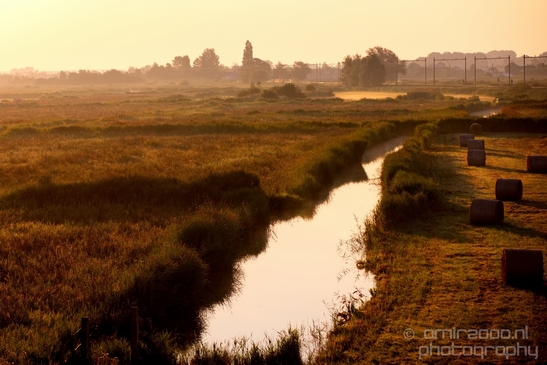 Sunrise_over_Dutch_landscape_nederlandse_landschap_summer_Photography_035_Canon_EOS_5D_Mark_IV.JPG