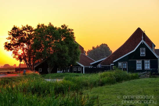Sunrise_over_the_windmills_of_Zaanse_Schans_molen_Zaandam_Landscape_Photography_042_Canon_EOS_5D_Mark_IV.JPG