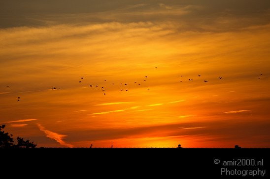 Sunrise_summer_over_Amsterdam_nauture_Netherlands_Landscape_Photography_002_Canon_EOS_5D_Mark_IV.JPG