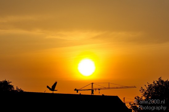 Sunrise_summer_over_Amsterdam_nauture_Netherlands_Landscape_Photography_011_Canon_EOS_5D_Mark_IV.JPG