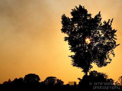 Sunset_over_Amsterdam_nature_landscape_Netherlands_Photography_020_Canon_EOS_5D_Mark_IV.JPG