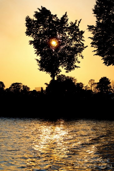 Sunset_over_Amsterdam_nature_landscape_Netherlands_Photography_022_Canon_EOS_5D_Mark_IV.JPG