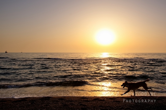 Sunset_overt_Mediterranean_Sea_nature_landscape_Israel_Photography_015_Canon_EOS_5D_Mark_IV.JPG