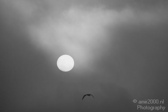 The_Sun_Foggy_Morning_Nature_Landscape_Photography_001_Canon_EOS_7D.JPG