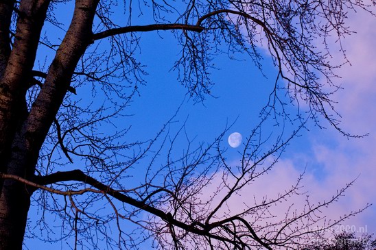 The_moon_nature_Landscape_Photography_008_Canon_EOS_5D_Mark_IV.JPG